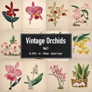 Orchidee, 45 illustrazioni vintage Vol.1, immagini di piante stampabili, carta digitale, download istantaneo