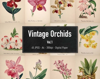 Orchids, 45 Vintage Illustrations Vol.1, Printable Plant Images, Digital Paper, Instant Download