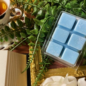 Hurt/Comfort | Romance Tropes | Bookish and Fanfic Wax Tart Melt | Gifts for Readers