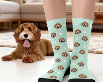 May include: Light teal socks with a repeating pattern of a dog's face and white paw prints. The socks have black heels and toes. A brown dog is in the background.