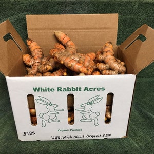 Puede incluir: Una caja de cartón llena de raíz de cúrcuma orgánica. La caja está etiquetada como "White Rabbit Acres" y tiene una dirección de sitio web impresa en la parte inferior. La caja está abierta y la raíz de cúrcuma es visible en el interior.