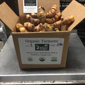 May include: A cardboard box filled with organic turmeric root, weighing 2 lbs. The box is labeled "Organic Turmeric" with the White Rabbit Organic logo and the text "Grown on our small family farm in Newberry, Florida USA".