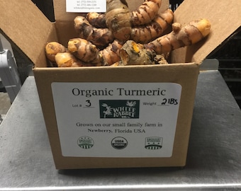 2 lbs Red USDA certified organic fresh red turmeric root