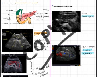 Abdomen revision sheets includes liver, pancreas etc. Centred around radiography