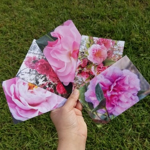 5 Camellia Flower Postcard Set - Nature Garden Photography, Note Cards, Specialty Stationery Gifts, Snail Mail, Greetings Just to say Hello