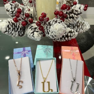 Dieser schöne armenische Buchstabe Initial Anhänger kommt in Silber, Gelbgold oder Roségold Edelstahl mit 22 Zoll Halskette
