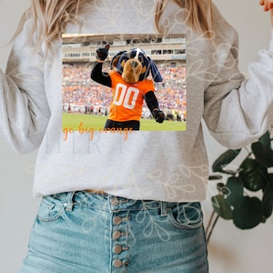Go Big Orange Smokey im Stadion PNG