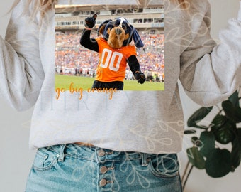 Go Big Orange Smokey in Stadium PNG
