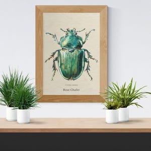 Printable Beetle Poster Set, Vintage Botanical Insect Art Prints, Entomology Bug Wall Art (Digital Download)