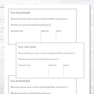 Details on your financial goal, career goal, and personal goal.