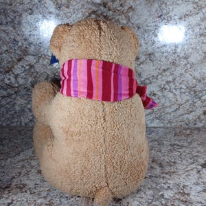 K&ouml;nnte beinhalten: Ein hellbrauner Teddyb&auml;r mit einem gestreiften Schal in Rosa, Rot und Lila. Das Stofftier ist von hinten zu sehen, mit dem Schal um den Hals. Das Fell des B&auml;ren ist strukturiert.
