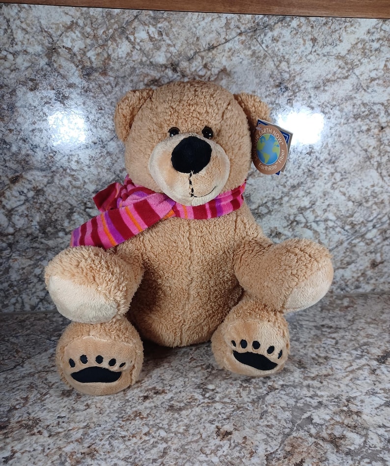 K&ouml;nnte beinhalten: Ein hellbrauner Teddyb&auml;r mit schwarzer Nase und Augen sowie einem rosa-rot gestreiften Schal. Der B&auml;r hat Pfotenabdr&uuml;cke auf seinen F&uuml;&szlig;en und ein Etikett mit der Aufschrift "Earth Now".