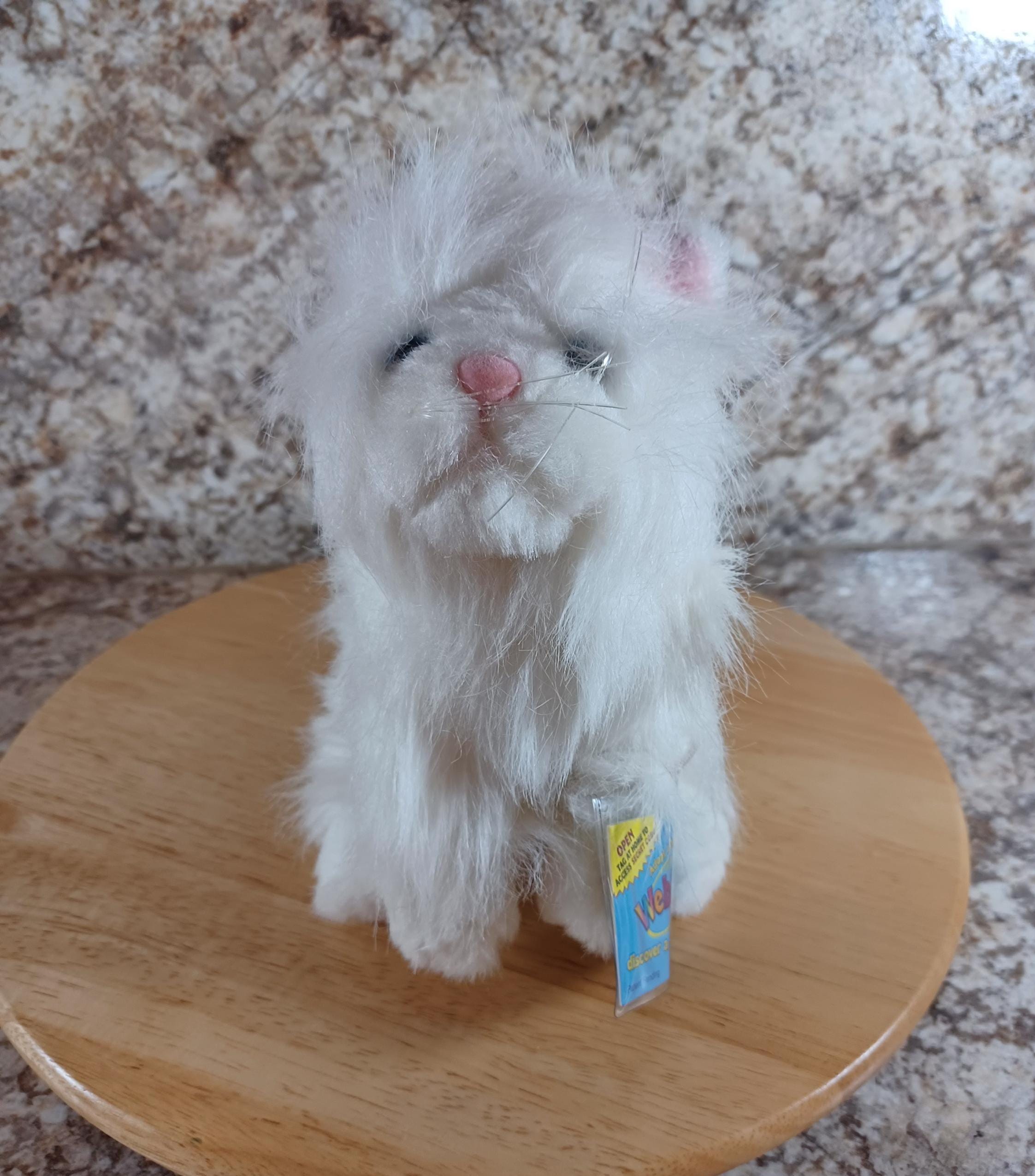 Webkinz Persian Cat, HM110, New With Code, Plush Animal,new Old
