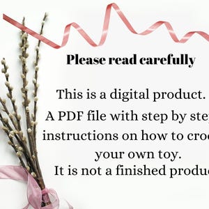 May include: A white background with a pink ribbon and a sprig of pussy willow. The text "Please read carefully" is written in black. The text "This is a digital product. A PDF file with step by step instructions on how to crochet your own toy. It is not a finished product." is written in black.