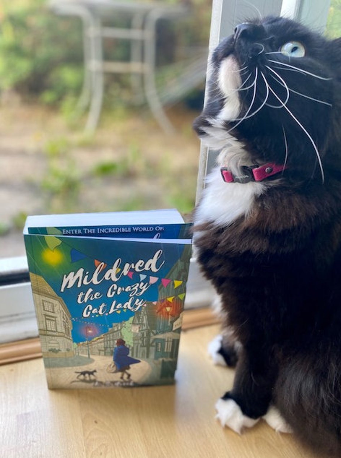 Mildred The Crazy Cat Lady Book Bundle To Include Signed Etsy Polska