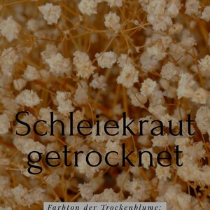 May include: Dried baby's breath flowers in a brown-yellowish color. Schleiekraut getrocknet. Farbton der Trockenblume; nur noch in braun-gelblich erh&auml;ltlich, wie hier abgebildet.