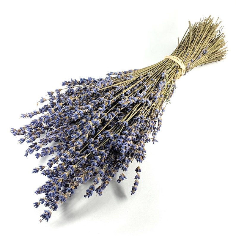 Лаванда Lavender dried