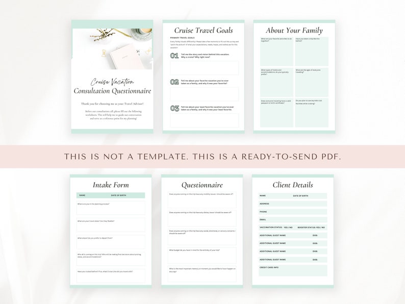 Cruise Client Questionnaire Travel Agent Template Etsy