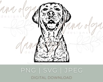 Labrador Retriever SVG, PNG, JPG Design File | Digital Download | Digital Picture for Cricut | Cut File