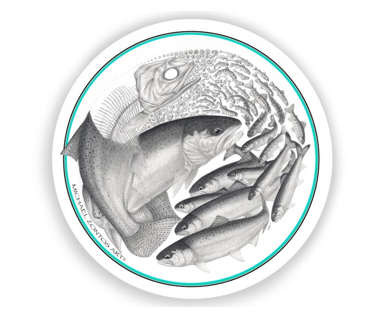Steelhead Life Cycle Sticker