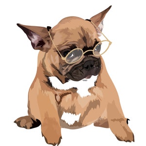 Customized Cartoon Pet Portrait, Personalized pet vector, Pet Vector, My pet portrait, illustration of pet,cartoon portrait, custom drawing