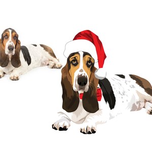 Full Body aangepaste cartoon huisdier portret, huisdier vector, aangepaste kat, hond portret, gepersonaliseerde hond portret, gepersonaliseerde huisdier illustratie