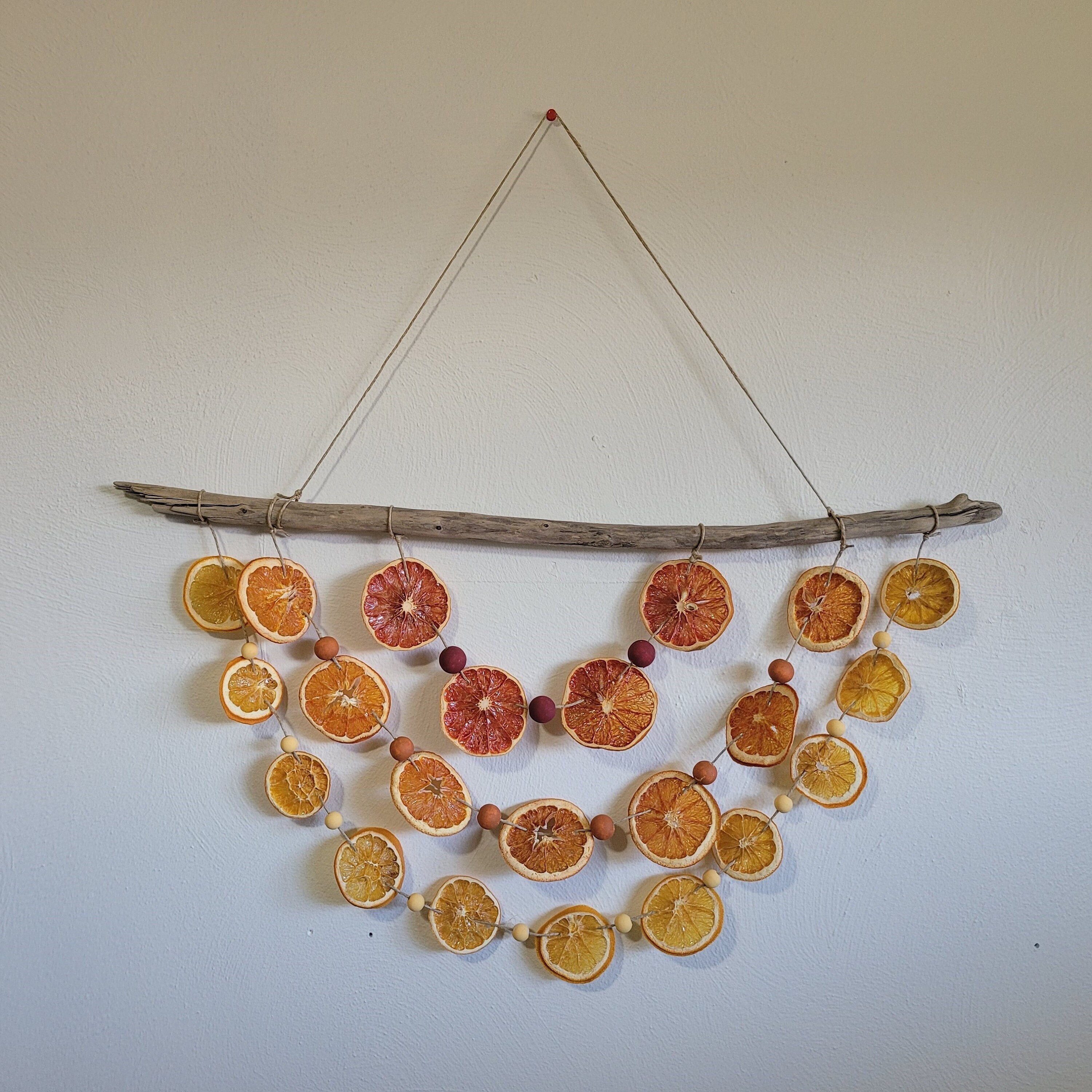 Rainbow Citrus Wall Hanging Citrus Wall Hanging Citrus Art | Etsy