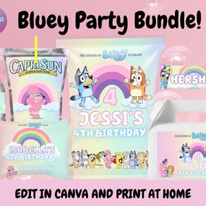 Editable BLUEY Kids Birthday Party Chip Bag Label Template |Party Supplies and Favor | Canva