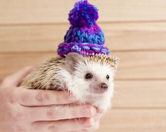 Small pet hat / hedgehog hat / Mini knitted hat / tiny beanie photo prop - hedgehog, guinea pig, ferret, rabbit, bearded dragon, doll