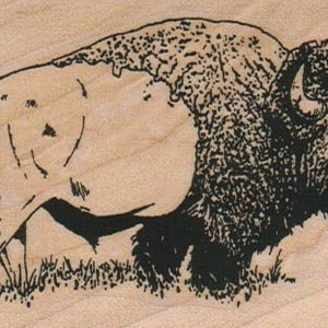 May include: A black and white line drawing of a bison walking to the right. The bison is facing the right side of the image. The bison has a large hump on its back and a long tail.