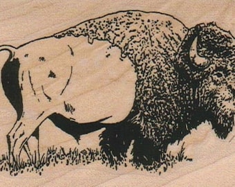 Buffalo In Grass Rubber Stamp 2 1/4 x 3 1/4  10530/1123E Bison Rubber Stamp