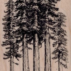 Redwood Trees Rubber Stamp 2 1/4 x 3 1/2 (19718/1460)
