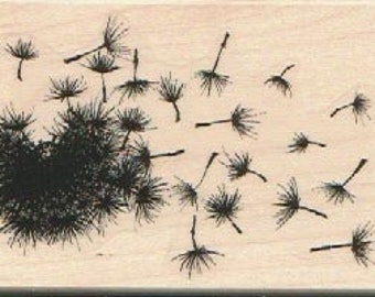 Soplado de diente de león y semilla extra por Susan M. Brown 2 x 3 1/2 y 1/4 x 1/4 (19045/918J)