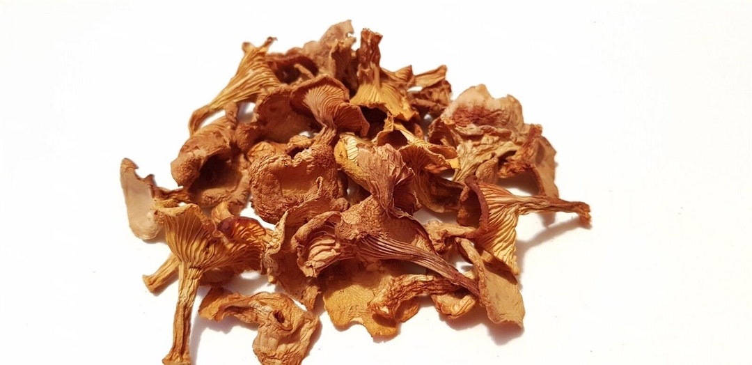Dried Mushroom Oyster Mushroom Sri Lankan 100 Organic Etsy