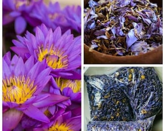 Blue Lotus Nymphaea Caerulea 100% Organic Herbal Hand Picked Pure Dried Flowers