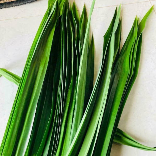 Sri Lankan(Cylon) high quality dried pandan leaves – 100% pure organic Rampe