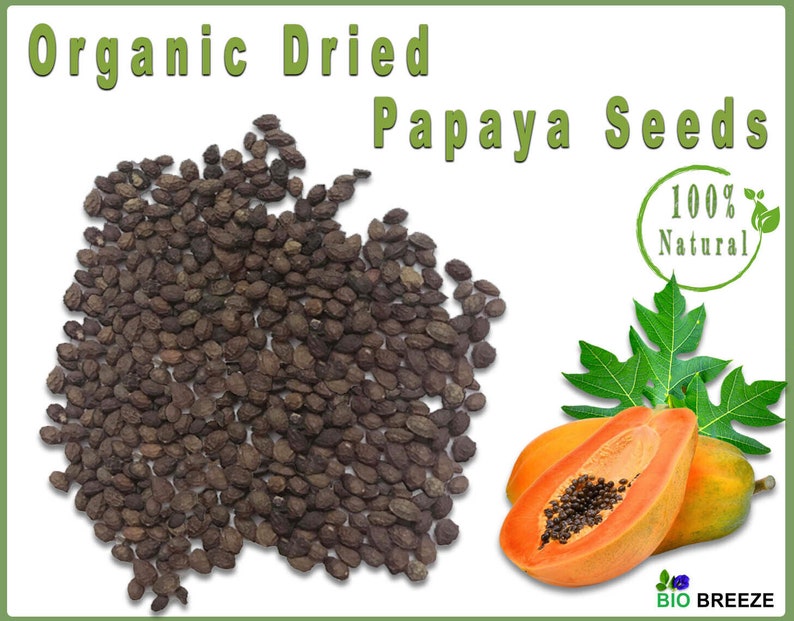Dried Papaya Seeds 100 Natural Organic From Ceylon Etsy Ireland