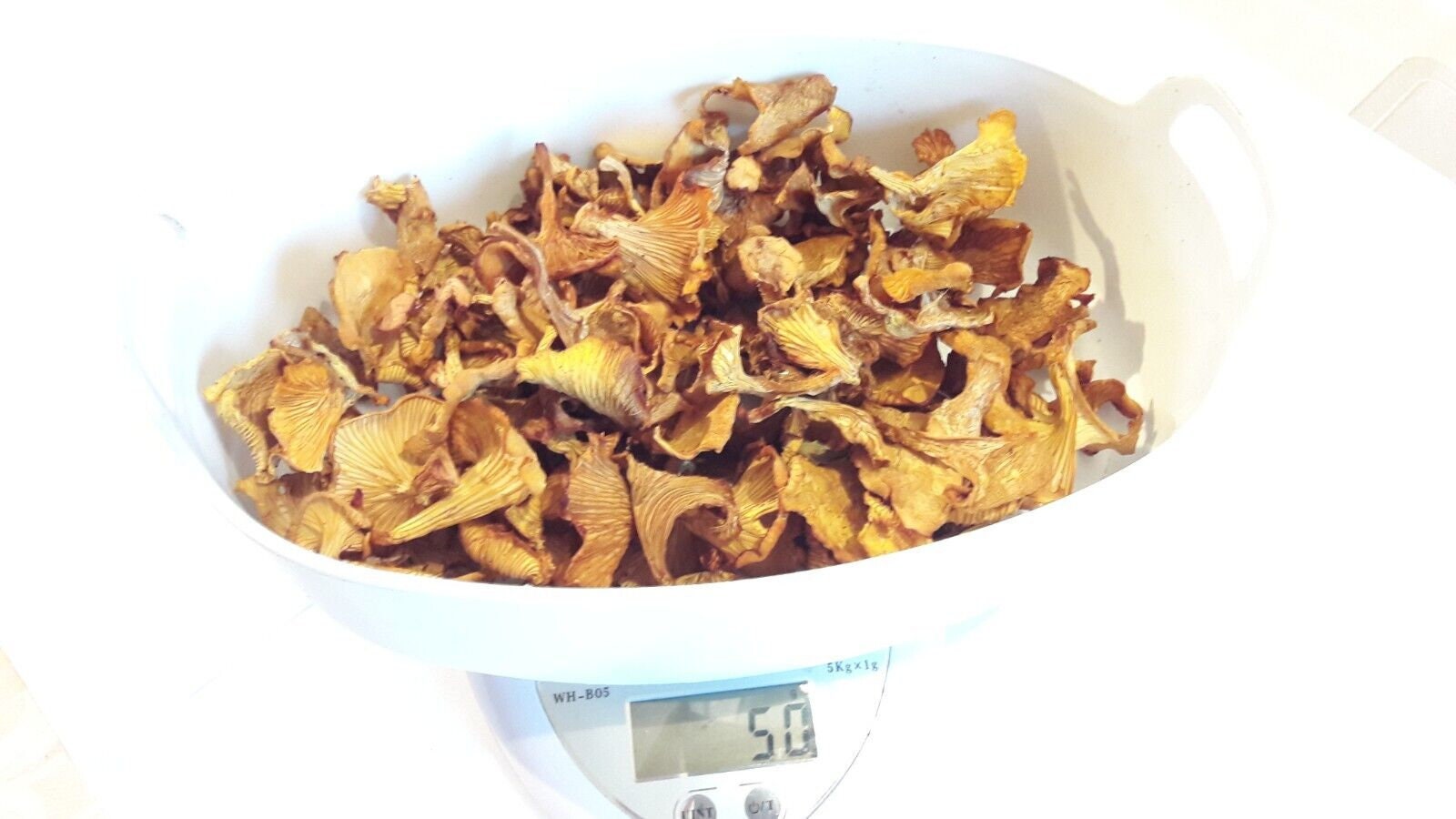 Dried Mushroom Oyster Mushroom Sri Lankan 100 Organic Etsy