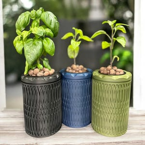 Guscio di barattolo di vetro idroponico - 32 Oz/Quart Kratky / Erbe / Piante