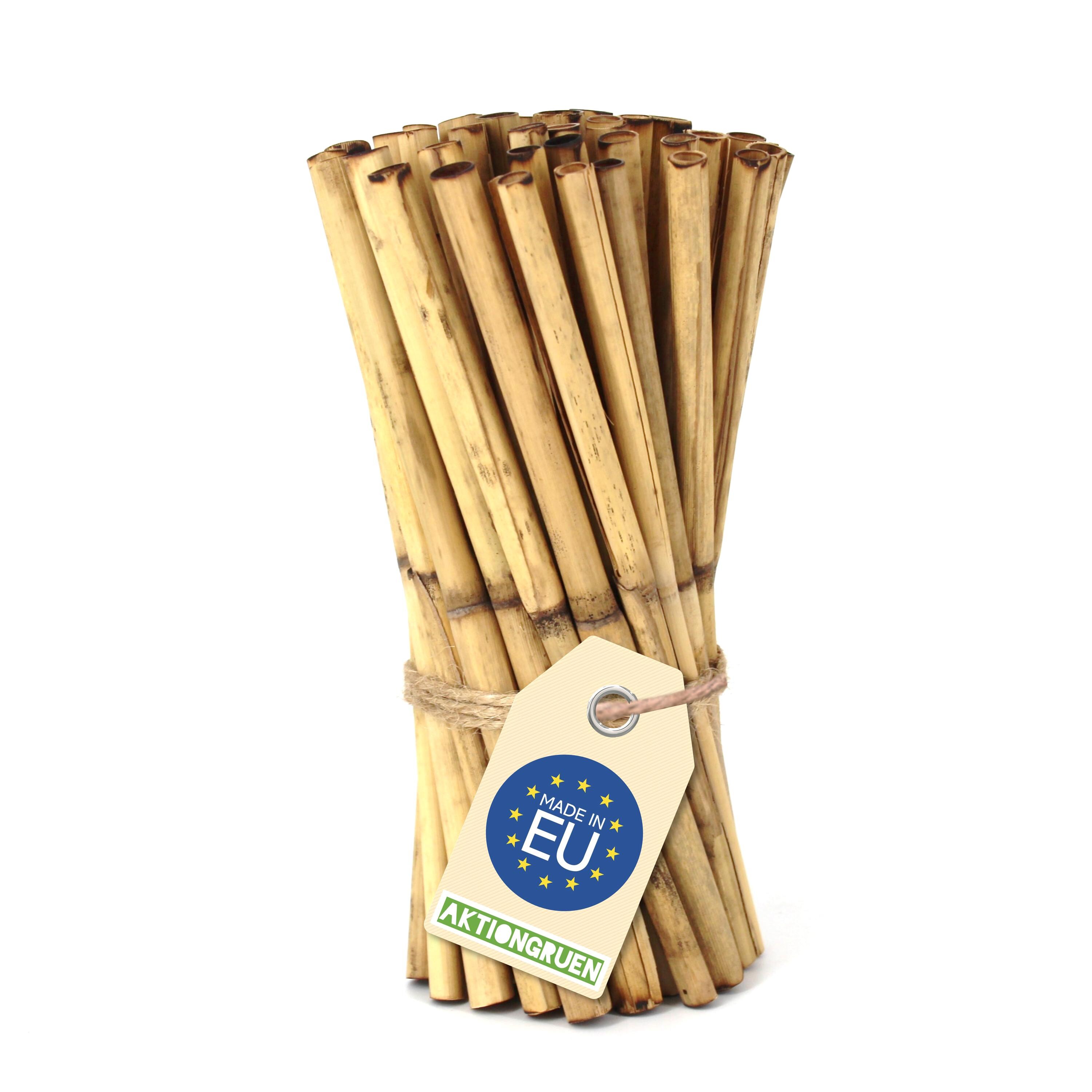 REEDS, 20 cm, approx. 45 pieces, from AKTIONGRUEN