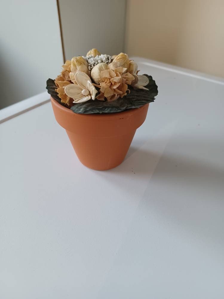 Miniature Flower Pot With Dried Flowers Etsy UK
