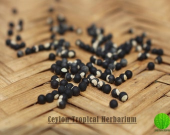 Cardiospermum Halicacabum Love In A Puff 12 Seeds Etsy Cardiospermum Halicacabum Love In A Puff 12 Seeds Etsy