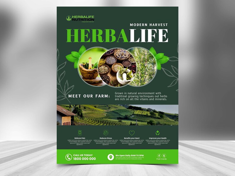 HERBALIFE FLYER DIY Editable Canva Template Printable & Etsy