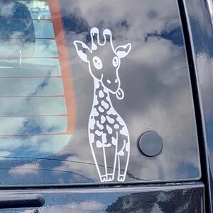 Decals - Car, Computer, Walls, Windows