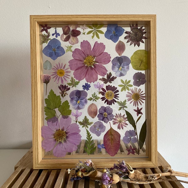 Herbarium, gepresste Blumen, getrocknete Blumen, Rahmen, Blumen, Flowers, Blumenwiese, Geschenk, Geburtstag, Hochzeit, Muttertag, Gr. 22x27