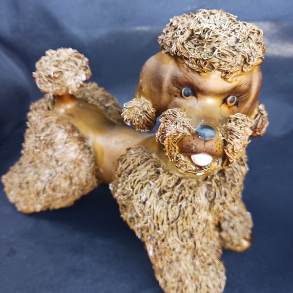 Spaghetti Poodles Etsy