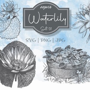 Waterlily Set 01 Botanical Illustration Clipart - Vintage Floral Uso Comercial Diário Scrapbooking SVG Line Digital Download Vector