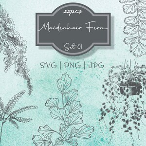 Maidenhair Fern Set 01 Botanical Illustration Clipart - vintage Floral Commercial Use Journal Scrapbooking SVG Line Digital Download Vector