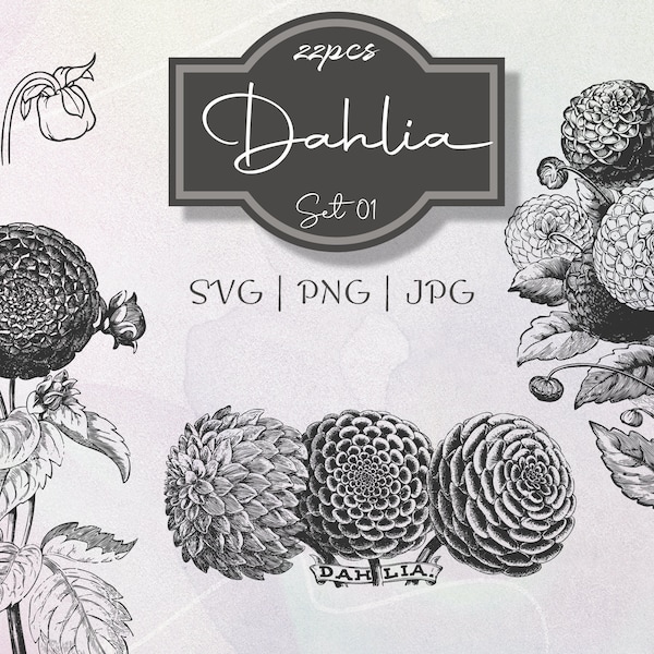 Dahlia Set 01 Botanical Illustration Clipart - Vintage Floral Commercial Use Journal Scrapbooking SVG Line Digital Download Vector