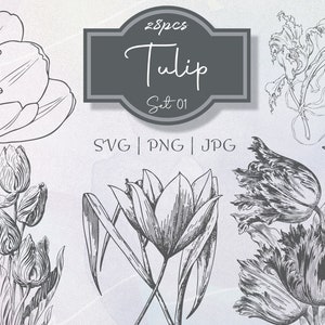 Ensemble de tulipes 01 Illustration botanique Clipart - vintage Floral Commercial Use Journal Scrapbooking SVG Line Digital Download Vector